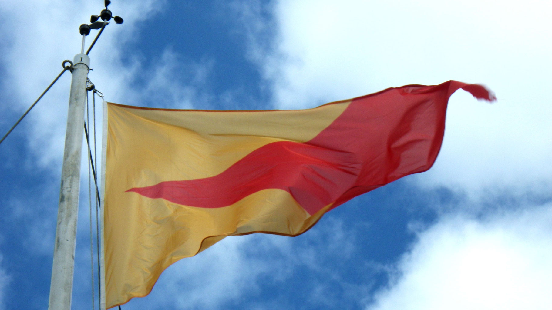 Der SVSN Vereins- Stander