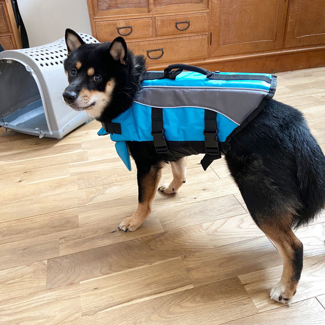 防災収納｜水害後の納戸片付けと災害対策グッズのまとめ方