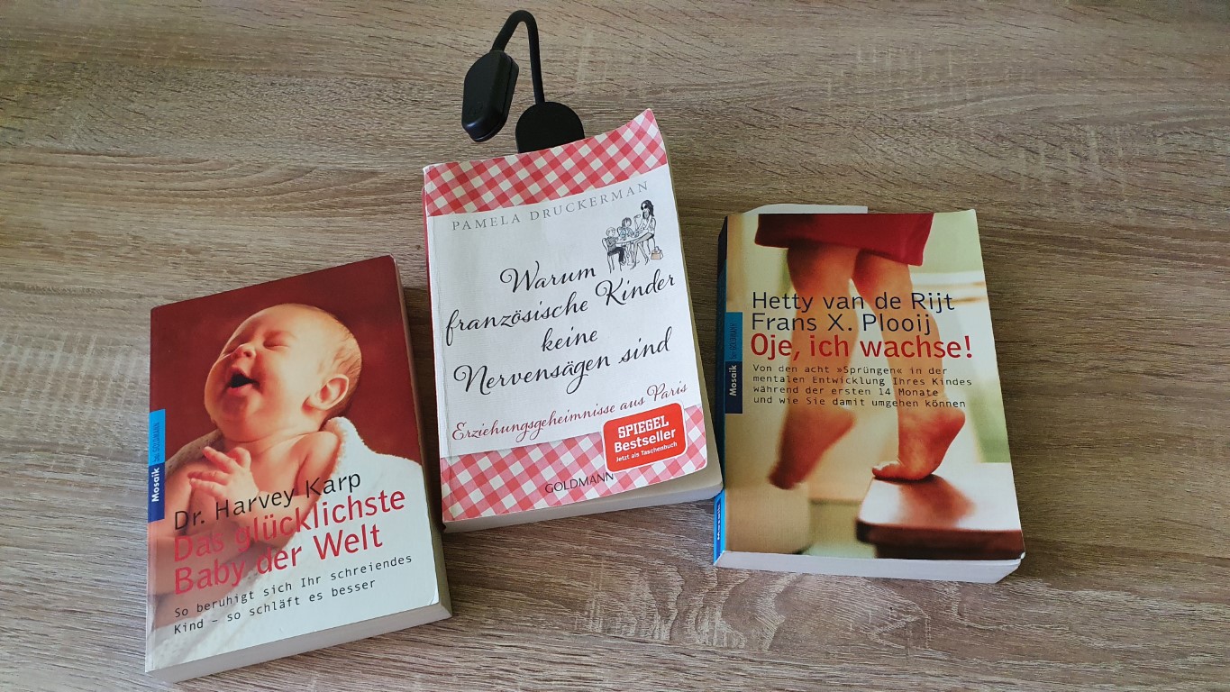 Ehrliche Buchempfehlung zur Vorbereitung auf das Leben mit Baby