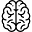 Skizze eines Gehirns