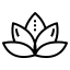 gezeichneter Lotus
