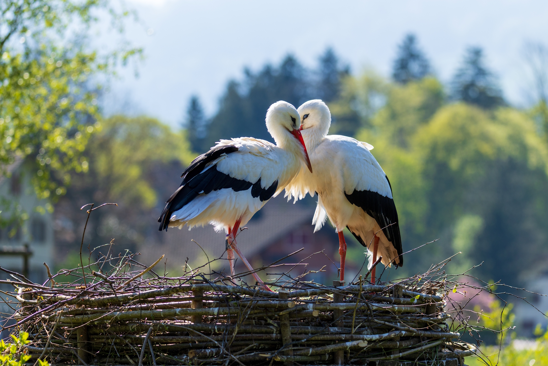 Tierpark Goldau