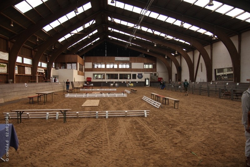 Früh morgens in der noch fast leeren Halle