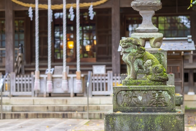 出張撮影 出張カメラマン ロケーション撮影 練馬区 石神井氷川神社 七五三 家族写真