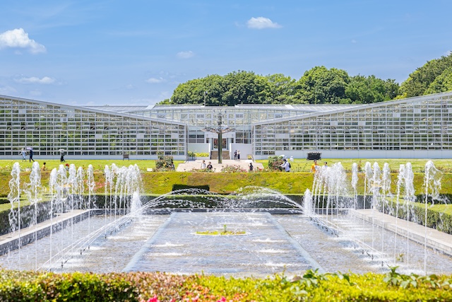 藤田日記〜神代植物公園で撮影会〜