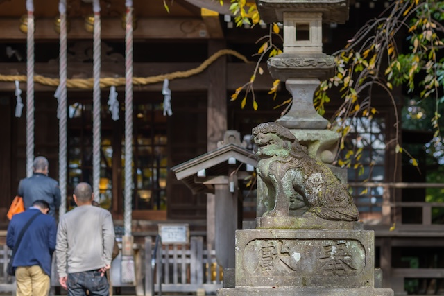 出張撮影　出張カメラマン　石神井氷川神社　七五三　練馬区　女性カメラマン　