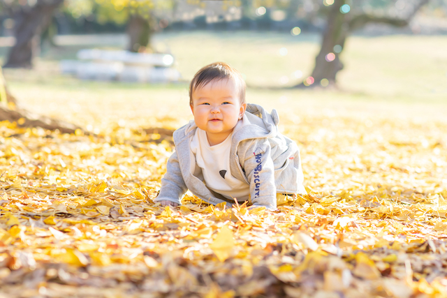 9月はどんな撮影ができるの？