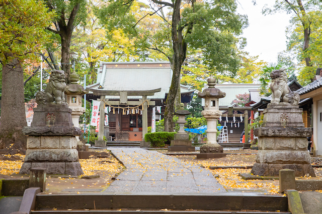 練馬区　豊玉氷川神社　出張撮影　七五三　家族写真　記念写真　女性カメラマン　出張カメラマン