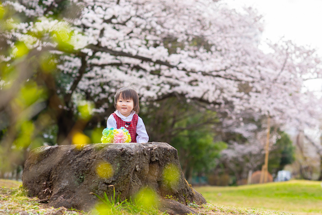 出張撮影　出張カメラマン　練馬区　光が丘　つばき園　桜　女性カメラマン　1歳誕生日