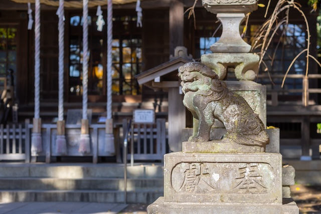 出張撮影　出張カメラマン　ロケーション撮影　家族写真　石神井氷川神社　練馬区　女性カメラマン　フォトグラファー　七五三　記念写真