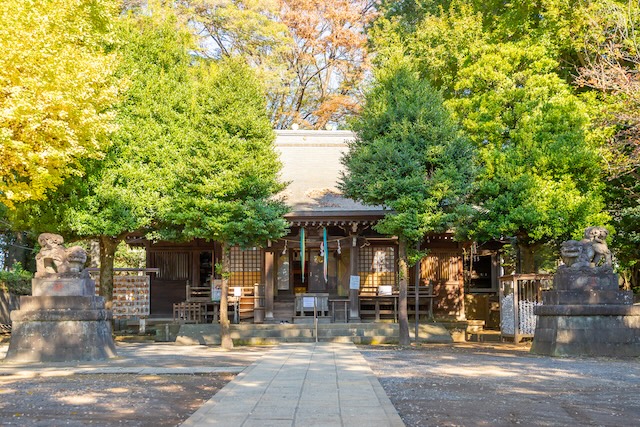 出張撮影 出張カメラマン ロケーション撮影 七五三 記念撮影 家族写真 練馬区 高松八幡神社 女性カメラマン