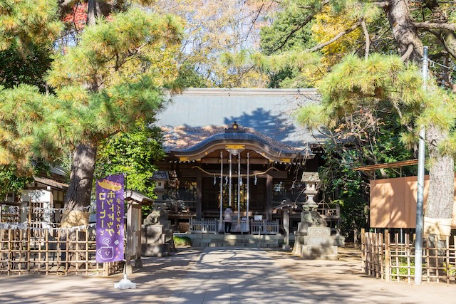 出張撮影　出張カメラマン　ロケーション撮影　家族写真　石神井氷川神社　練馬区　女性カメラマン　フォトグラファー　七五三　記念写真