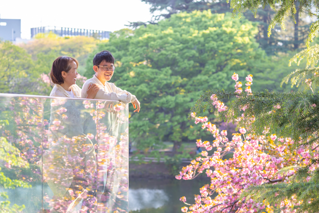 家族写真　日常写真　桜撮影　出張撮影　出張カメラマン　女性カメラマン　新宿御苑