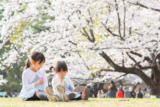 光が丘公園でカジュアルな公園フォト☆撮影レポート(練馬区・光が丘)