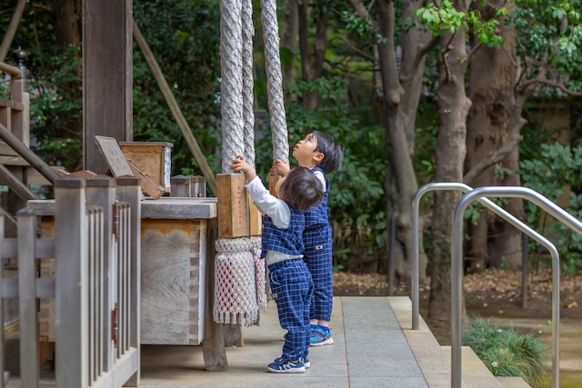 出張撮影　出張カメラマン　石神井氷川神社　七五三　練馬区　女性カメラマン　