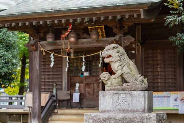 練馬区　光が丘　北野八幡神社　七五三　出張撮影　出張カメラマン　ロケーション撮影　家族写真　記念写真