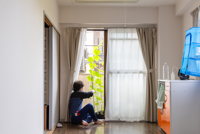 日常写真　日常ドキュメンタリー　出張撮影　出張カメラマン　女性カメラマン　練馬区　光が丘