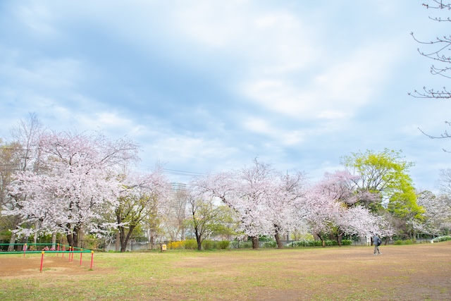 出張撮影 出張カメラマン ロケーション撮影 日常写真 育休 練馬区 石神井公園 育児 家族写真 親子写真 女性カメラマン フォトグラファー