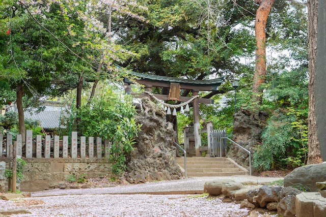 出張撮影　出張カメラマン　ロケーション撮影　女性カメラマン　豊島区　長崎神社　お宮参り　フォトグラファー　自然体