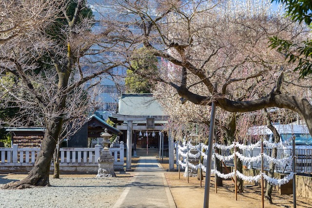 出張撮影　出張カメラマン　練馬区　光が丘　北野八幡神社　七五三　女性カメラマン　自然体