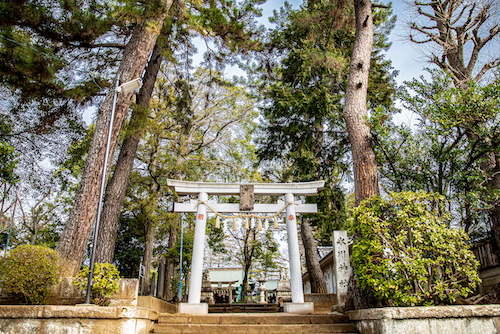 豊玉氷川神社へ撮影下見に行ってきました♪(東京・練馬区)