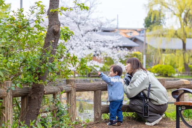 出張撮影 出張カメラマン ロケーション撮影 日常写真 育休 練馬区 石神井公園 育児 家族写真 親子写真 女性カメラマン フォトグラファー