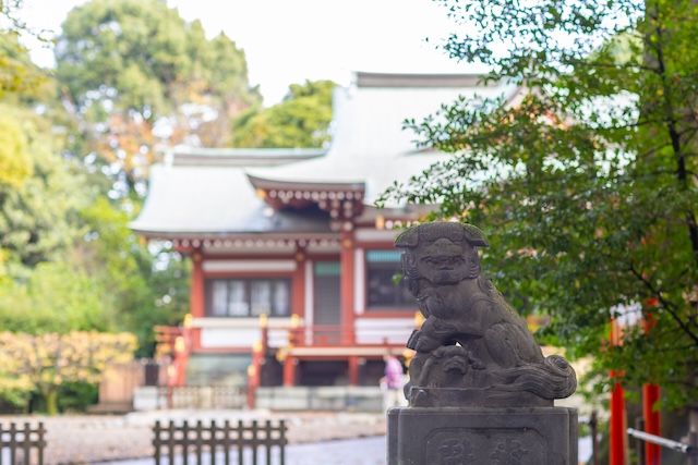 出張撮影　出張カメラマン　武蔵野八幡宮　七五三　記念撮影　家族写真　女性カメラマン　写真