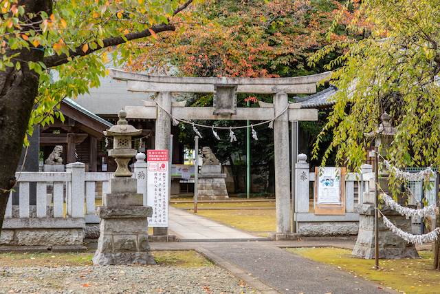 練馬区　光が丘　北野八幡神社　七五三　出張撮影　出張カメラマン　ロケーション撮影　家族写真　記念写真