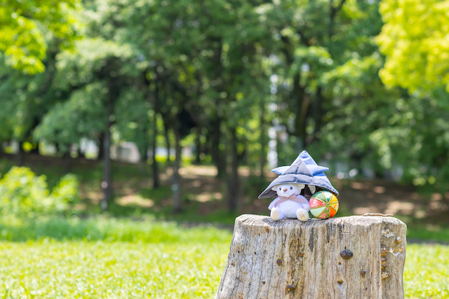 光が丘公園と四季の香り公園で初節句撮影☆撮影レポート(練馬区・光が丘)