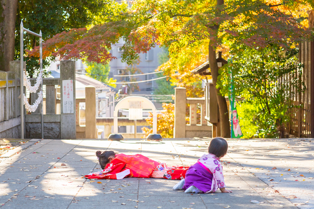 大泉氷川神社で3歳女の子の七五三☆撮影レポート(東京・練馬区)