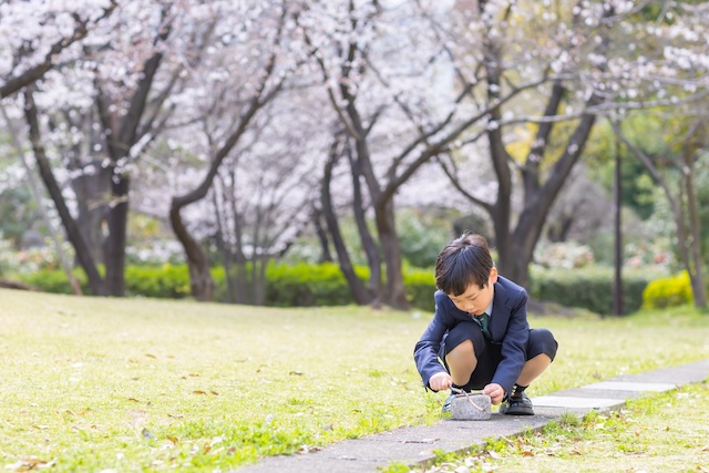 出張撮影 出張カメラマン ロケーション撮影 練馬区 光が丘 つばき園 桜 家族写真 入学記念 女性カメラマン フォトグラファー 自然