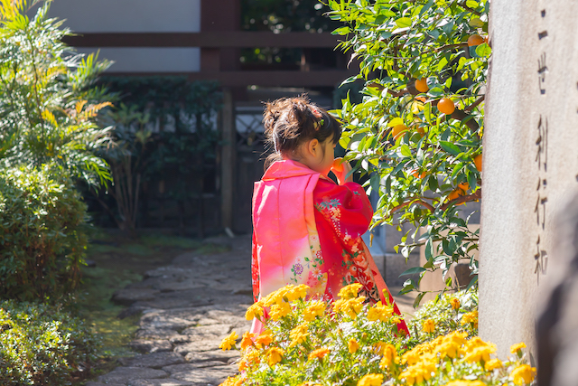 長崎神社と金剛院で3歳女の子の七五三☆撮影レポート(東京・豊島区)