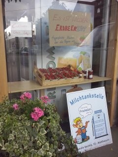 Erdbeeren Bechtle Hof
