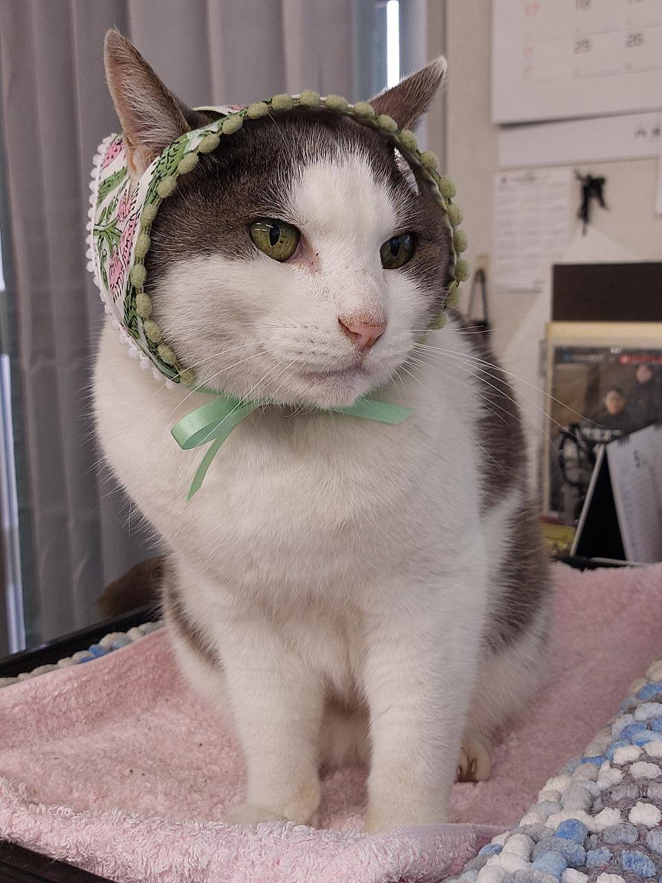 14歳になりました！