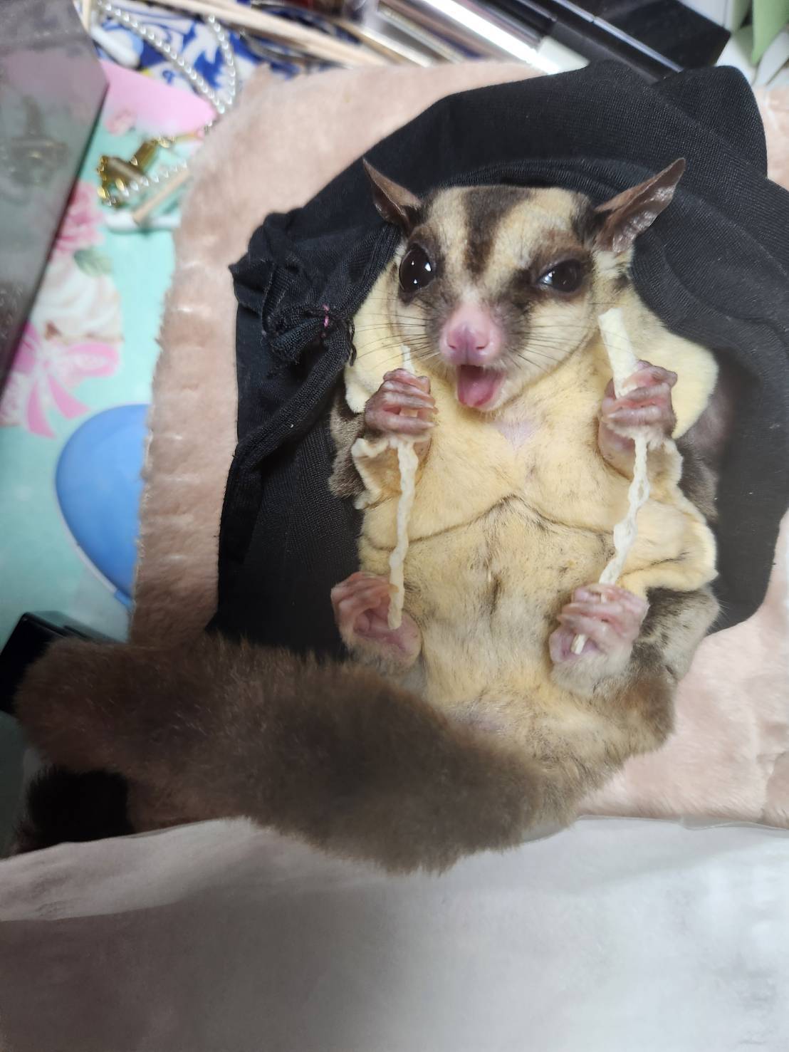 ちーたら好きだもん