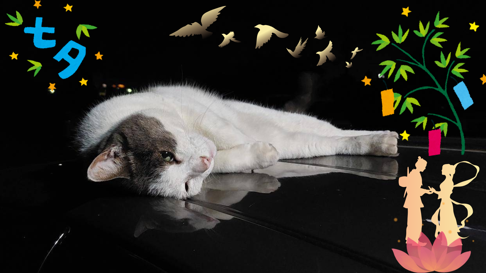 七夕の夜☆彡