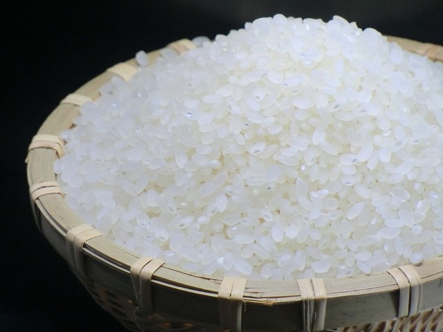 DAIHACHI　コシヒカリ（平成30年産）精白米　10㎏×2 楽天市場】米 白米 10kg 送料無料 コシヒカリ 5kg×2袋 新潟県産