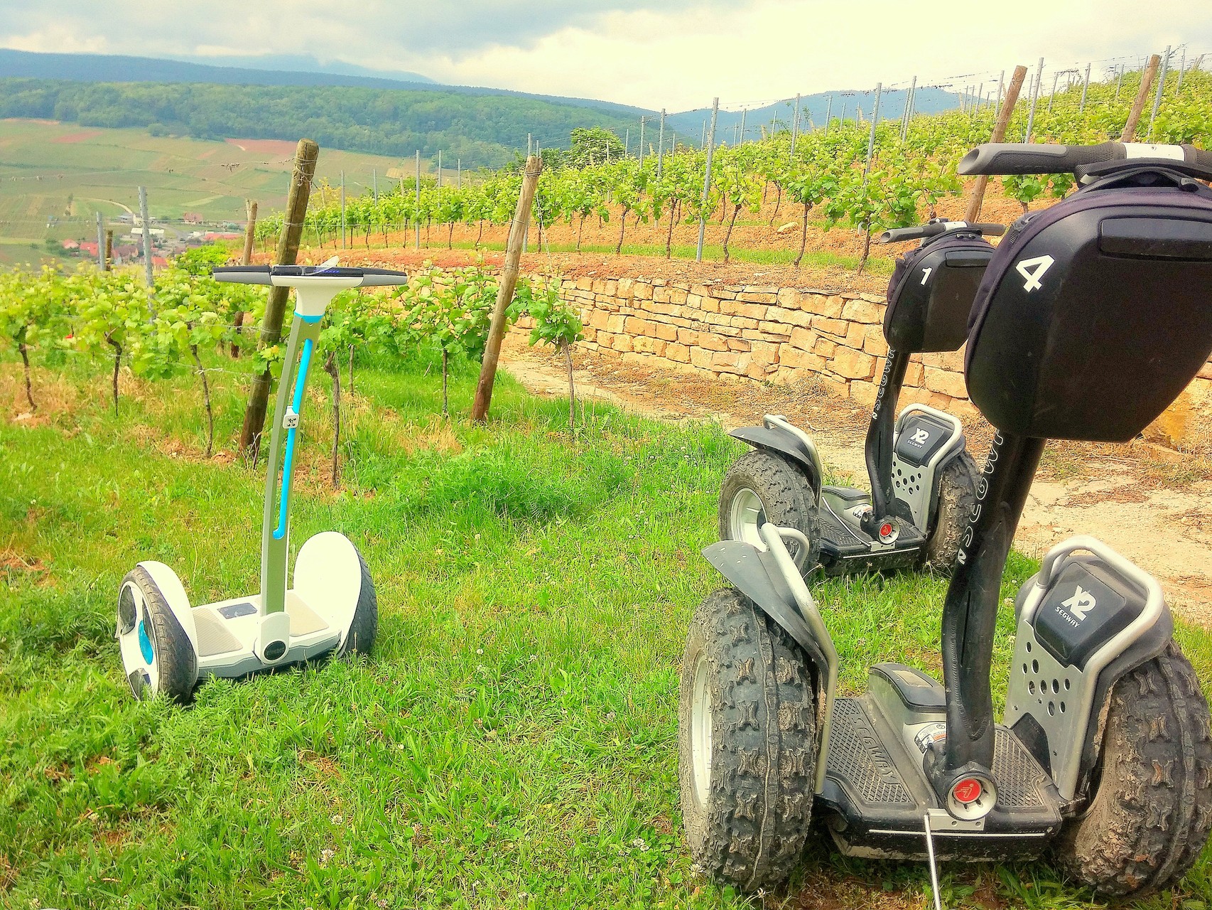 circuits dans le vignoble en Segway et Ninebot