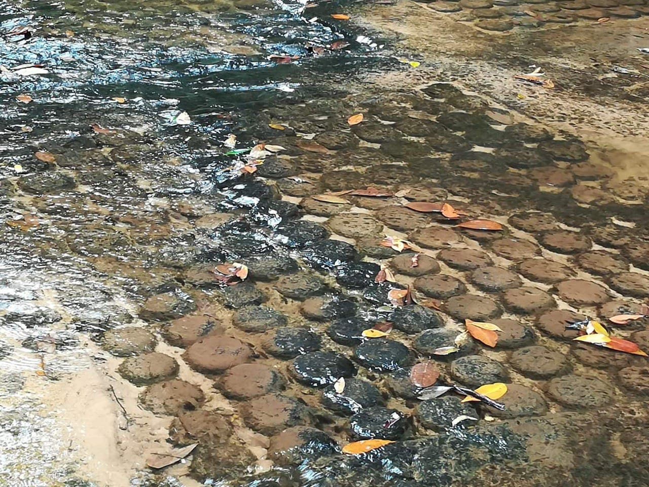 クバルスピアンの川の彫刻