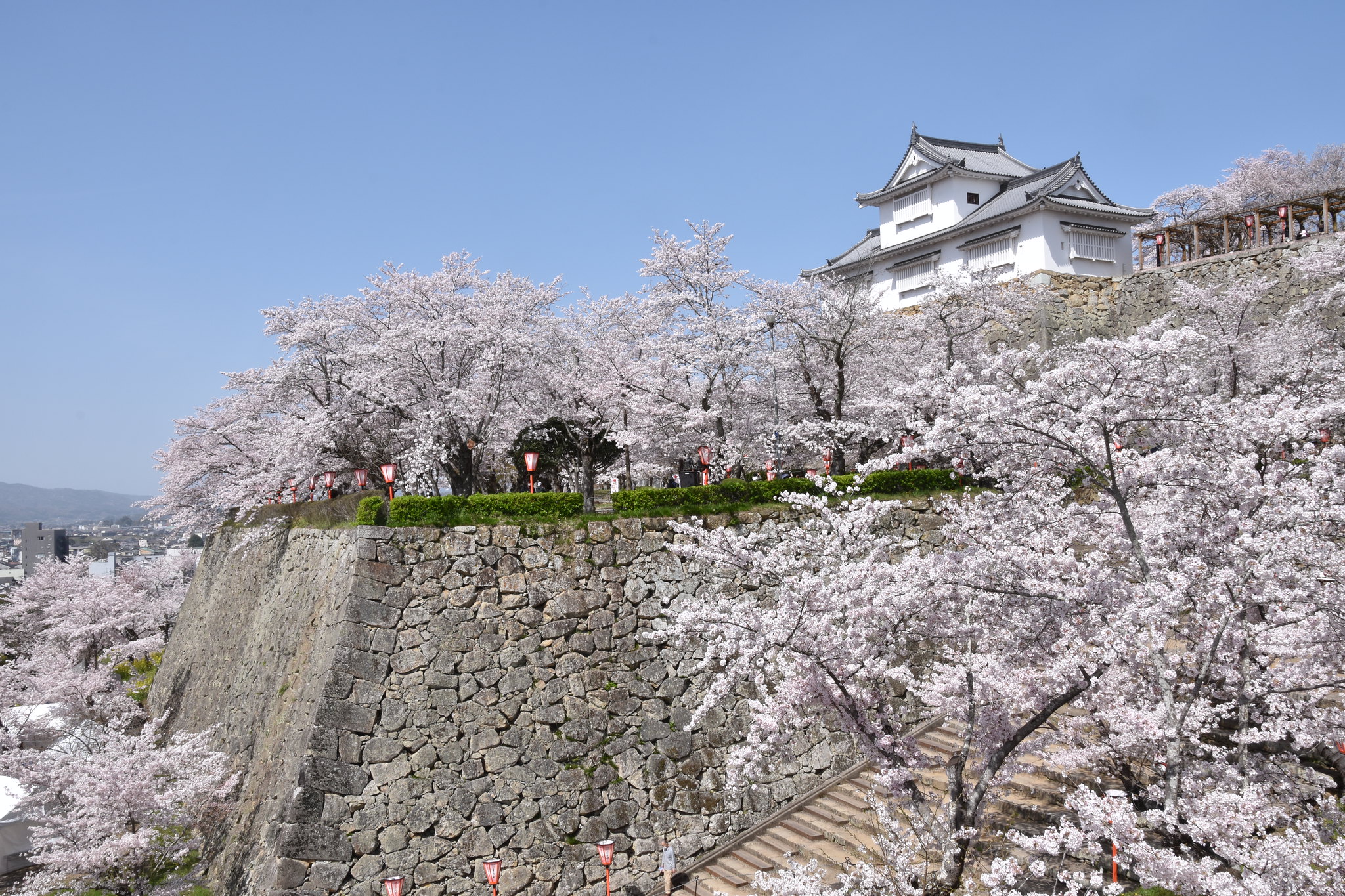 津山城（鶴山公園）