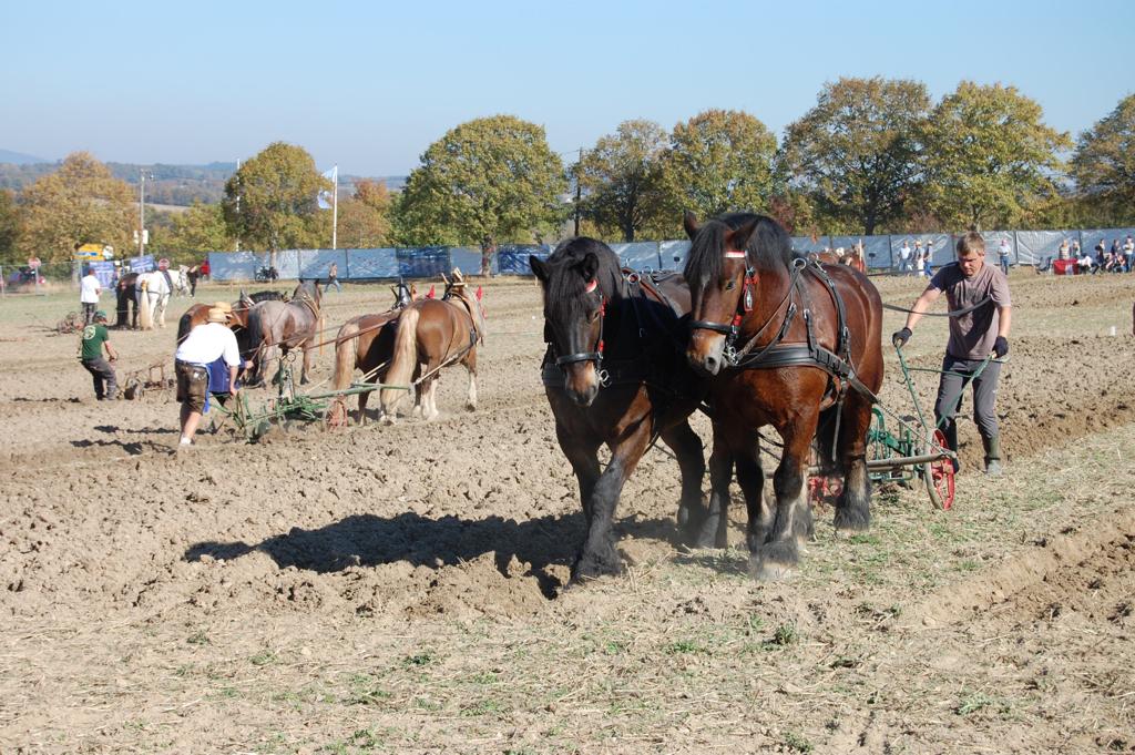 Alexander Otto Aus Sachsen Gewann Am 3 4 08 2019 Die Offene alexander-otto-aus-sachsen-gewann-am-3-4-08-2019-die-offene
