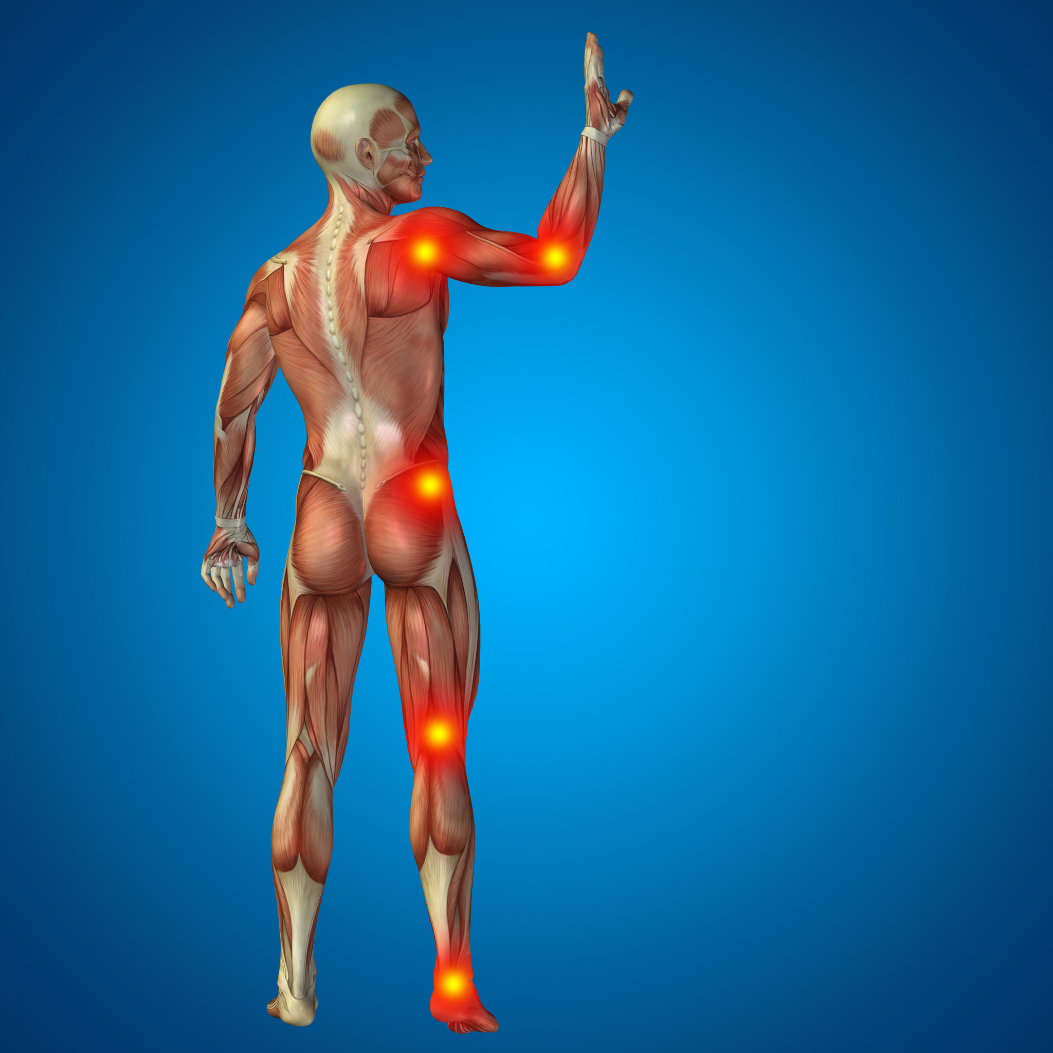 Douleurs neuro-musculaires