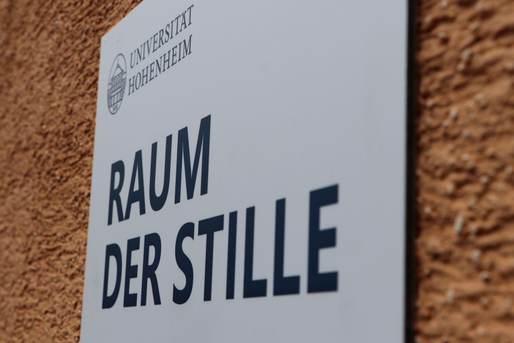 Raumgestaltung Innendämmung Hanfkalk gestampft