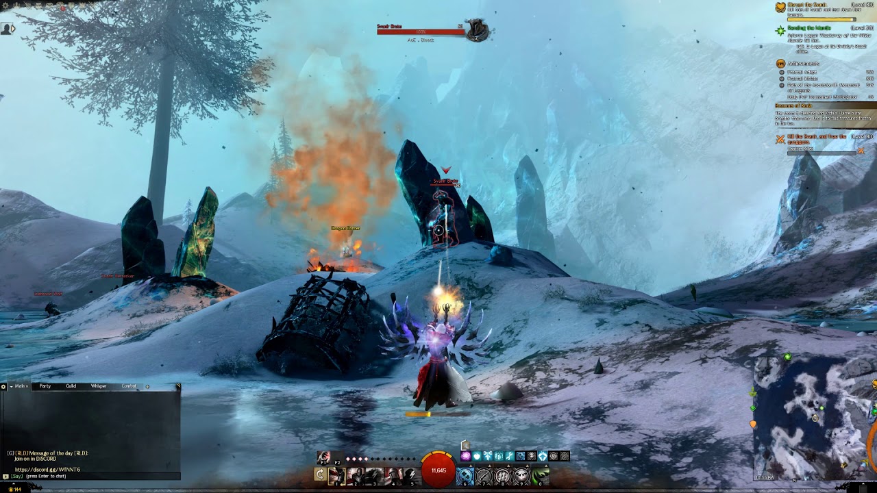 Open World GW2 Gilde Firemoon