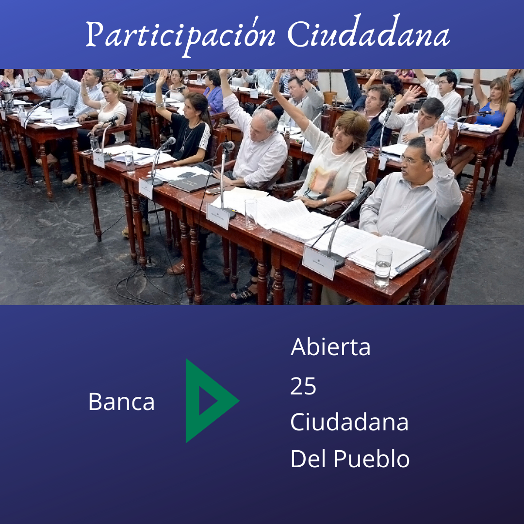 Banca Abierta: una forma institucionalizada de acercamiento de la ciudadanía al Concejo Deliberante