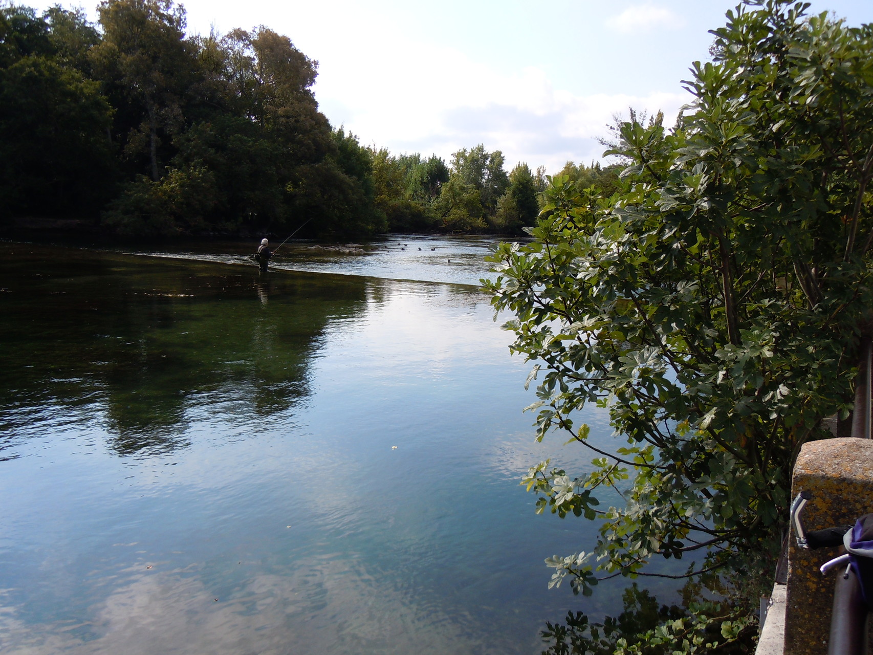 "Le partage des eaux" à l'Isle sur la Sorgue