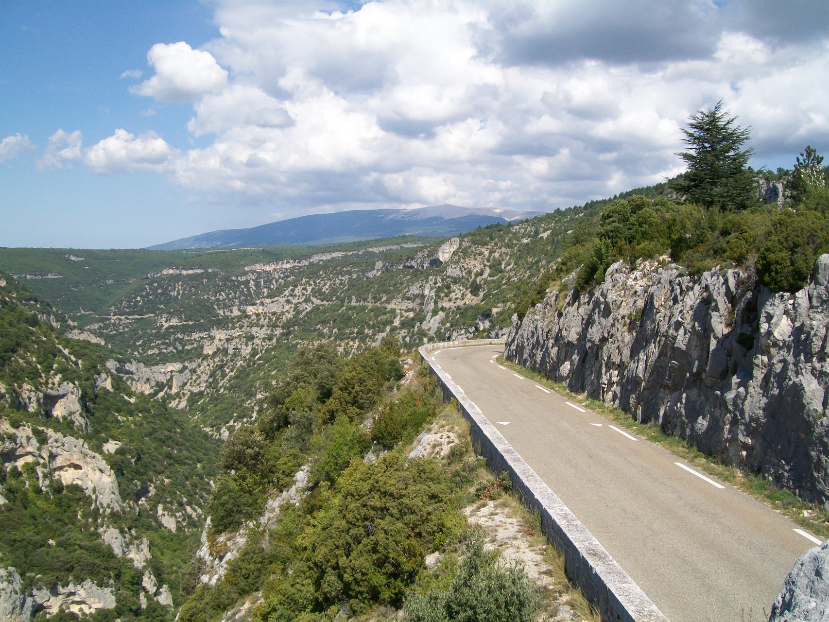 Les gorges de la Nesque