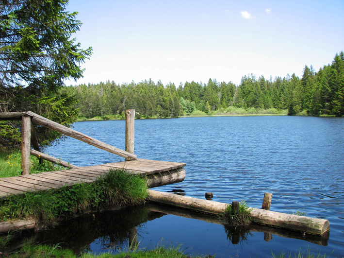 Sehenswürdigkeiten Schweiz: Etang de la Gruère mit Steg, der in den See hinein ragt