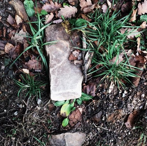 image5