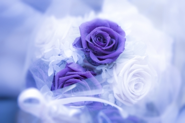 お知らせ - アロマ＆ヒーリングサロン さちこ